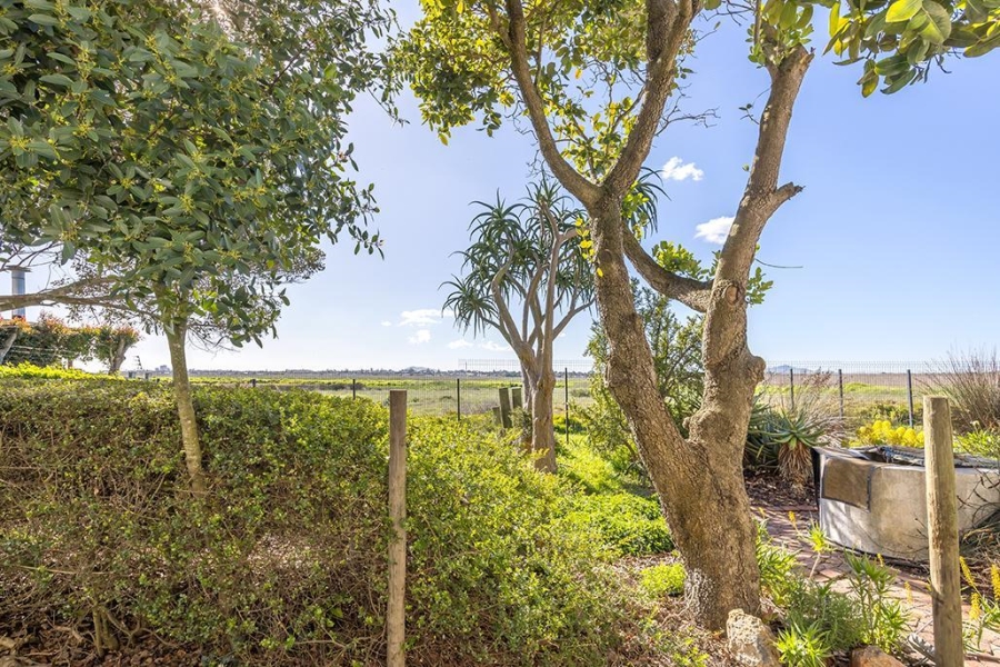 To Let 2 Bedroom Property for Rent in Milnerton Western Cape